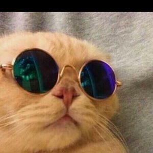 Meet your Posher, Giovanny